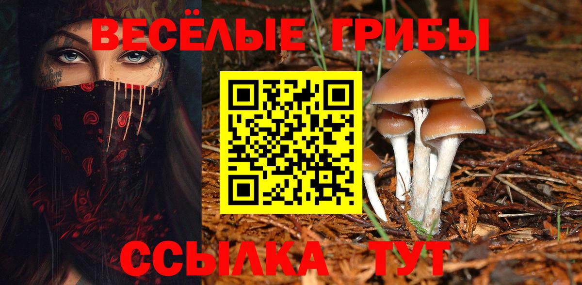 Псилоцибиновые грибы Psilocybine cubensis Воркута